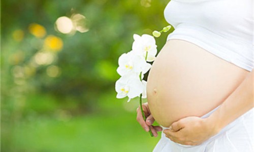 孕妇可以吃油糕吗网- 孕妇可以吃油蠓吗知识,分享孕妇可以吃油蠓吗